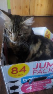 13938555_501037740089343_5064039905643729779_n