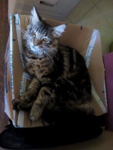 14159158_10210487065242662_1986371012_n