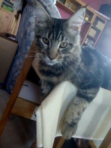 14218489_10210496576640441_656707417_n